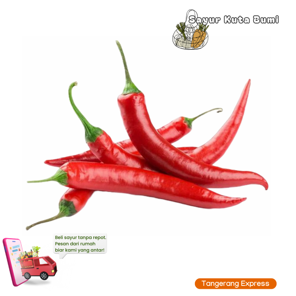 

KIRIM INSTAN Cabe Keriting Merah 100gr Kuta Bumi Tangerang Pasar Kemis