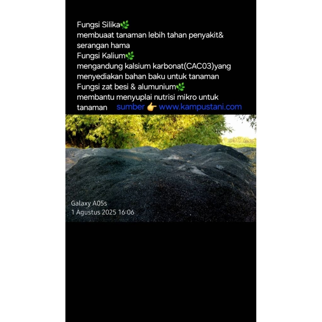 media tanam arang sekam/ sekam bakar / abu arang sekam