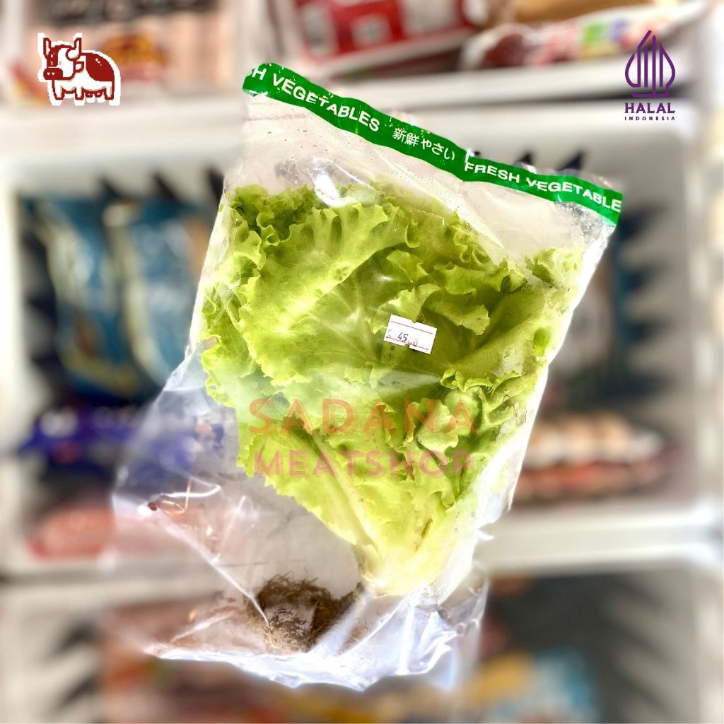 

Selada Hidroponik Pack 120gr-180gr