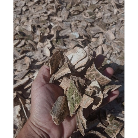 

500 gram Kulit Kering Pohon Pule / 250 gram Kulit Kayu Lame Kering