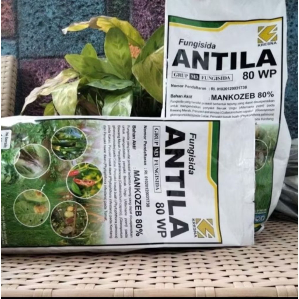 ANTILA 80WP 1KG