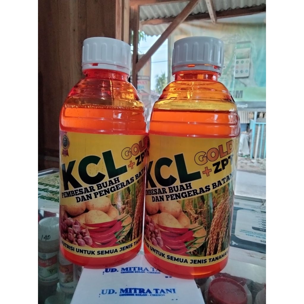 KCL GOLD PLUS ZPT || pembesar buah umbi & pengeras batang 1L