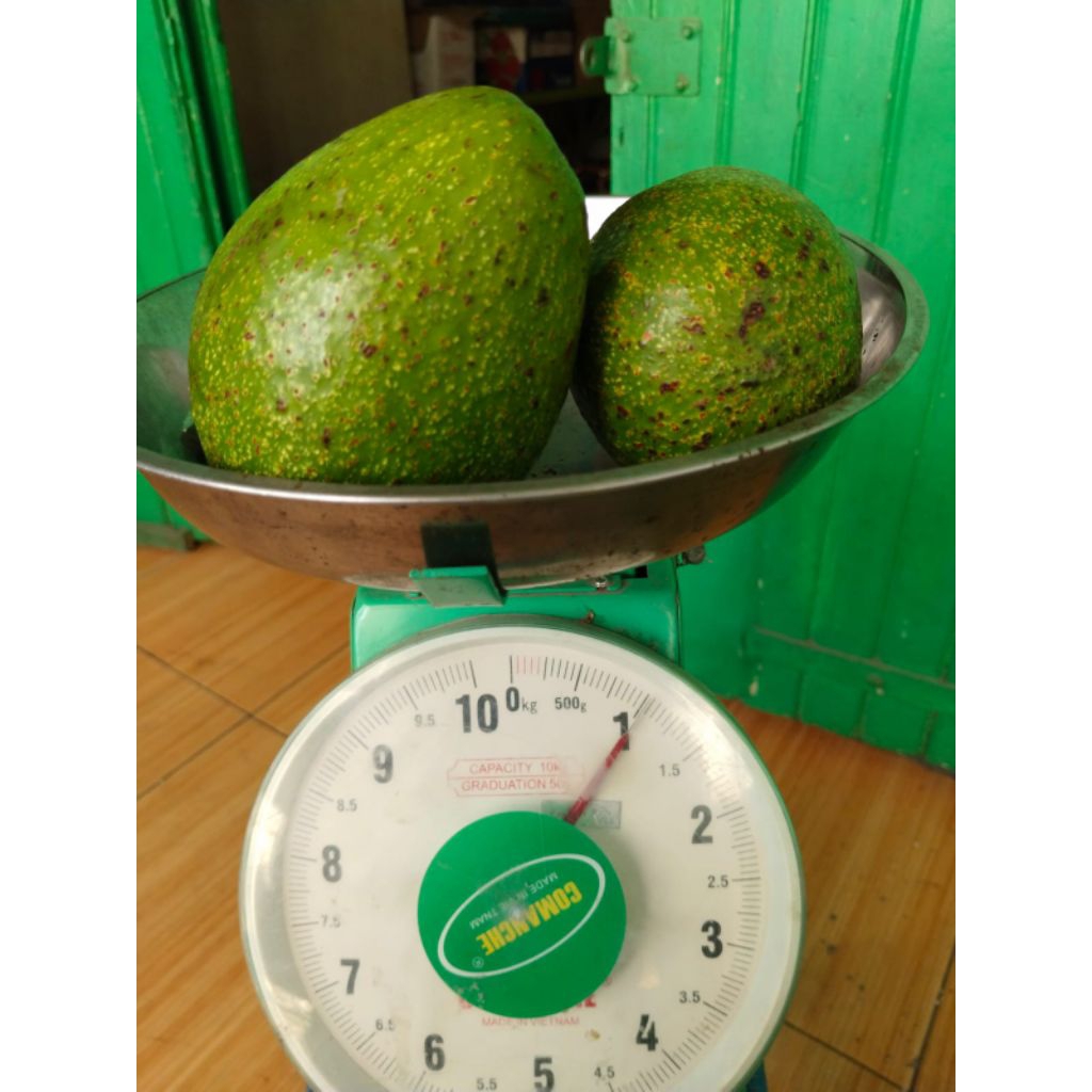 

POKAT / ALPUKAT MENTEGA 1 KG ISI 2 Buah