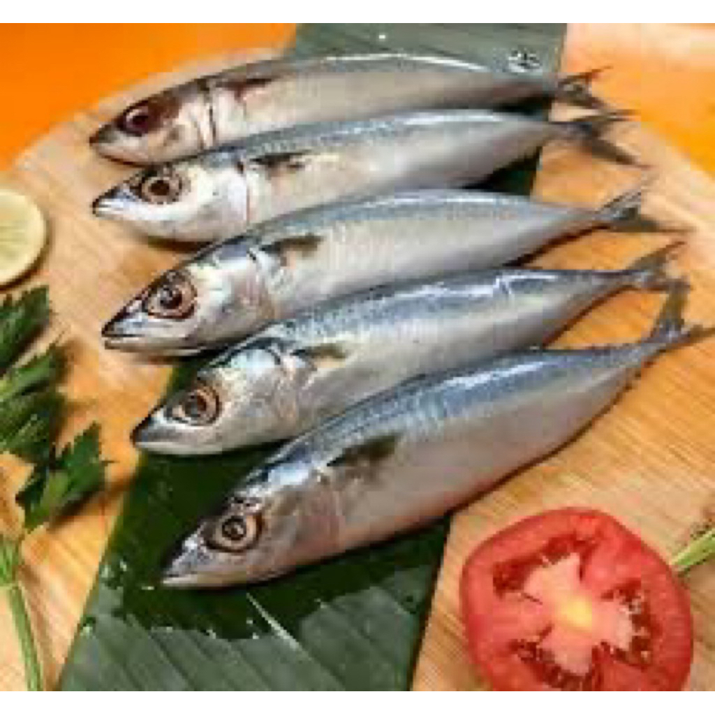 

ikan salam segar- 36 fresh palembang