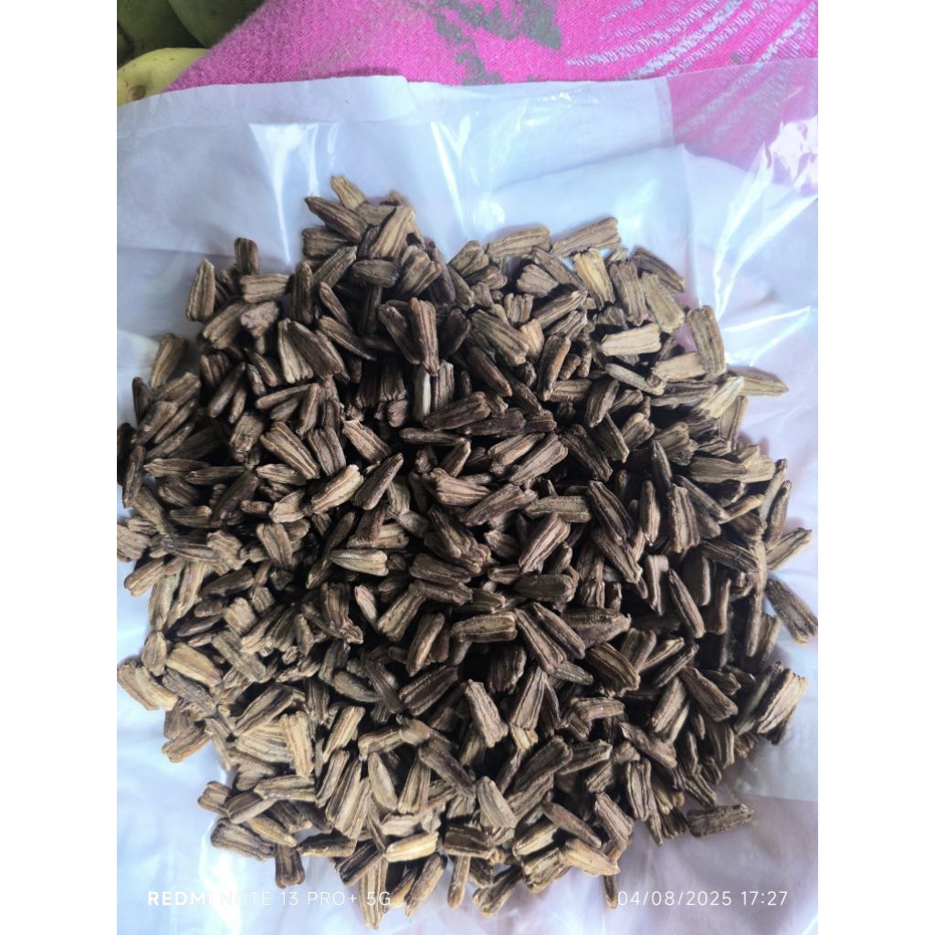 Biji Labu / Biji Tabu Super Kering (Per Ons)