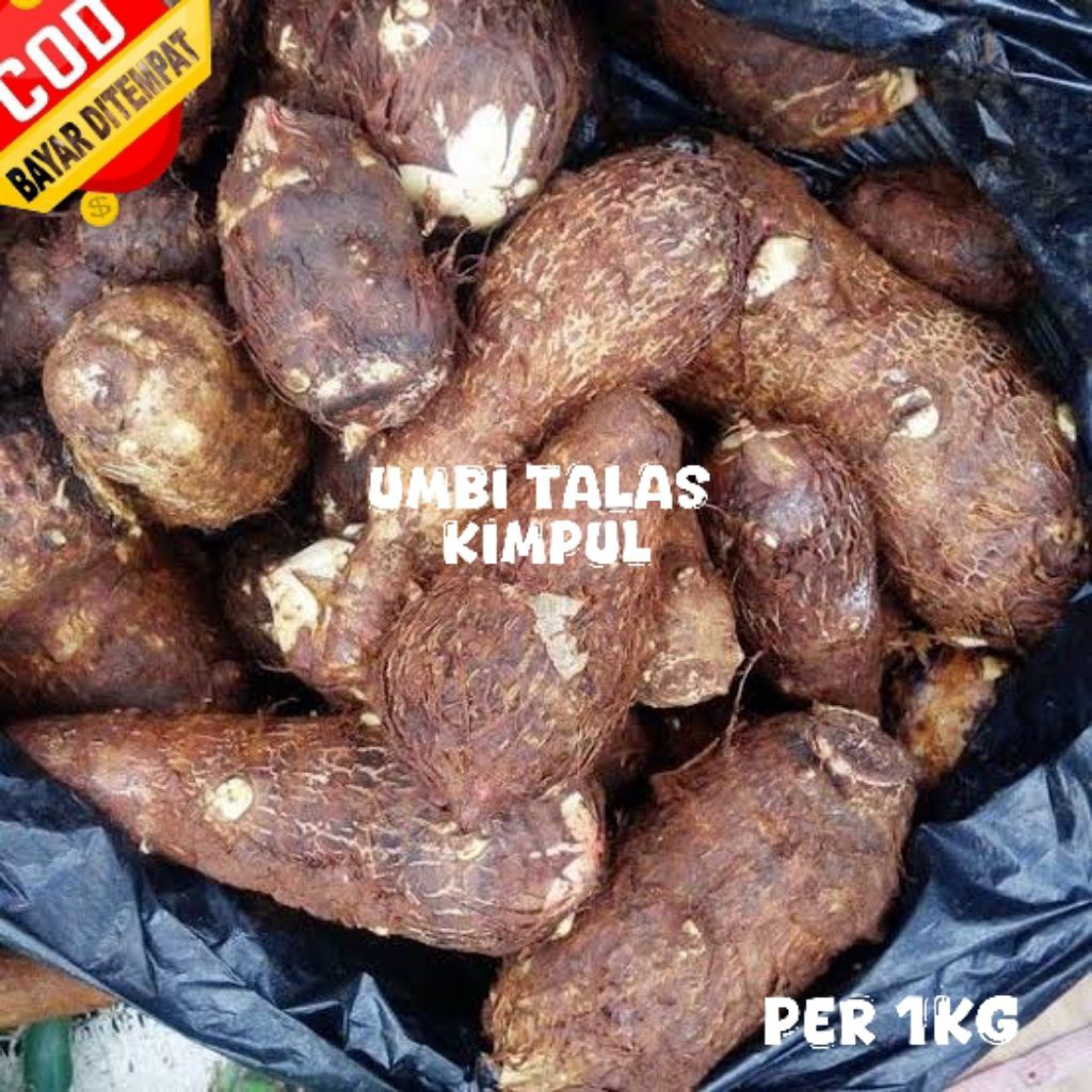 

Umbi talas kimpul per1kg