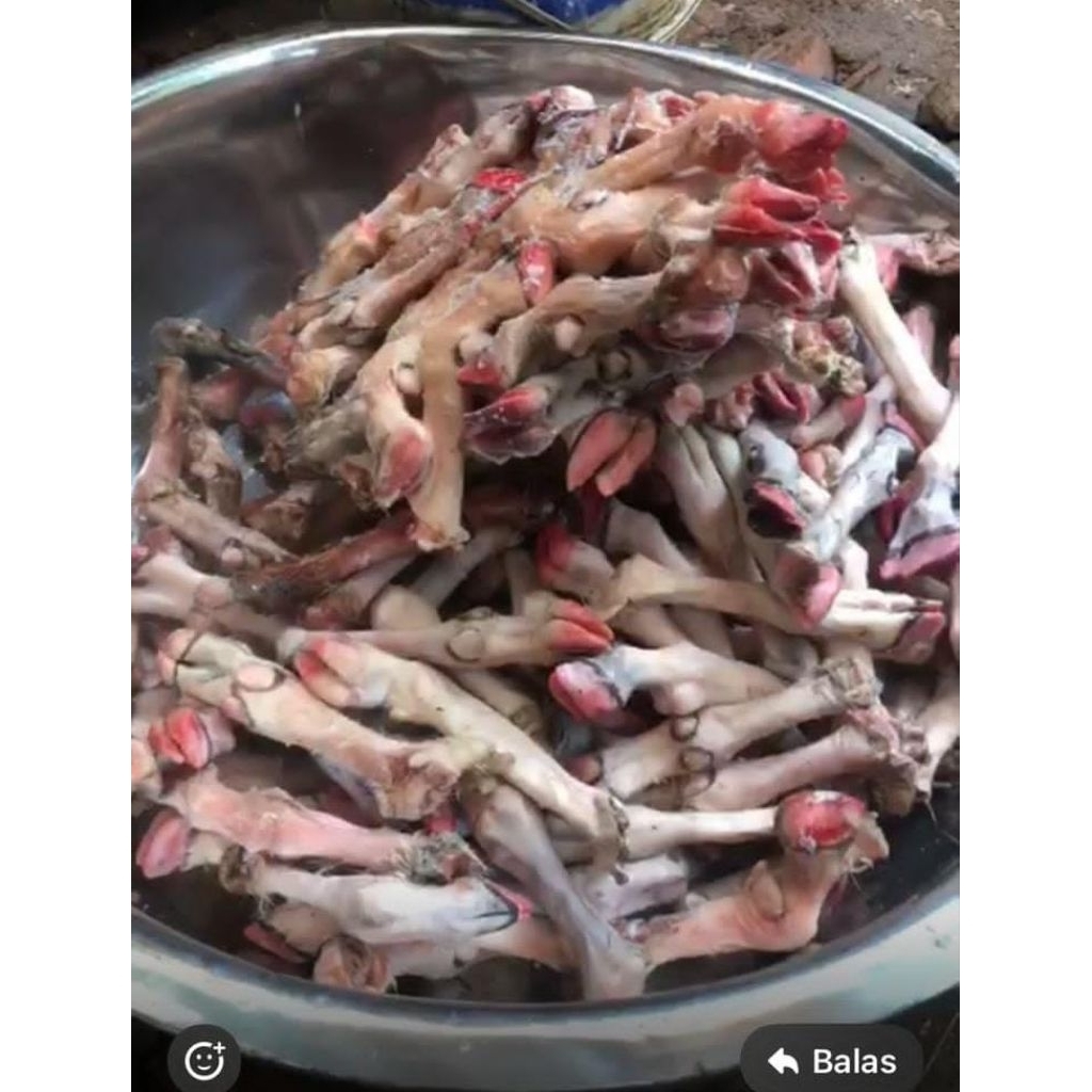 Kaki Kambing Sudah Bersih - Siap Masak