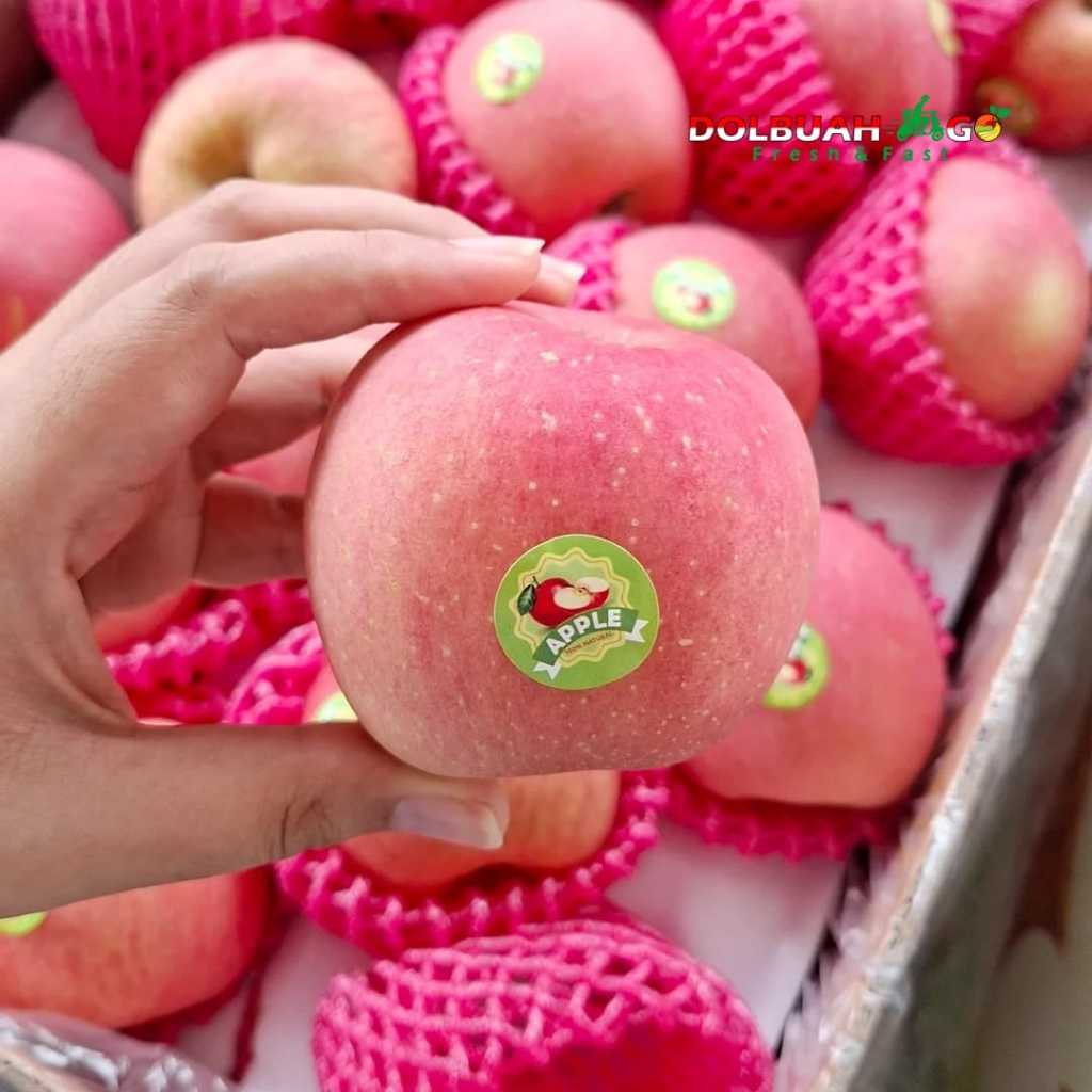 

Apel Fuji China Manis Murah Berkualitas - Dolbuah