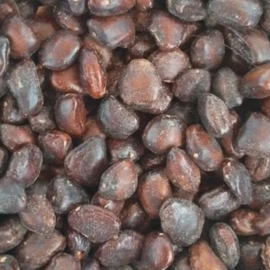 

Biji Asam Jawa kemasan 1kg