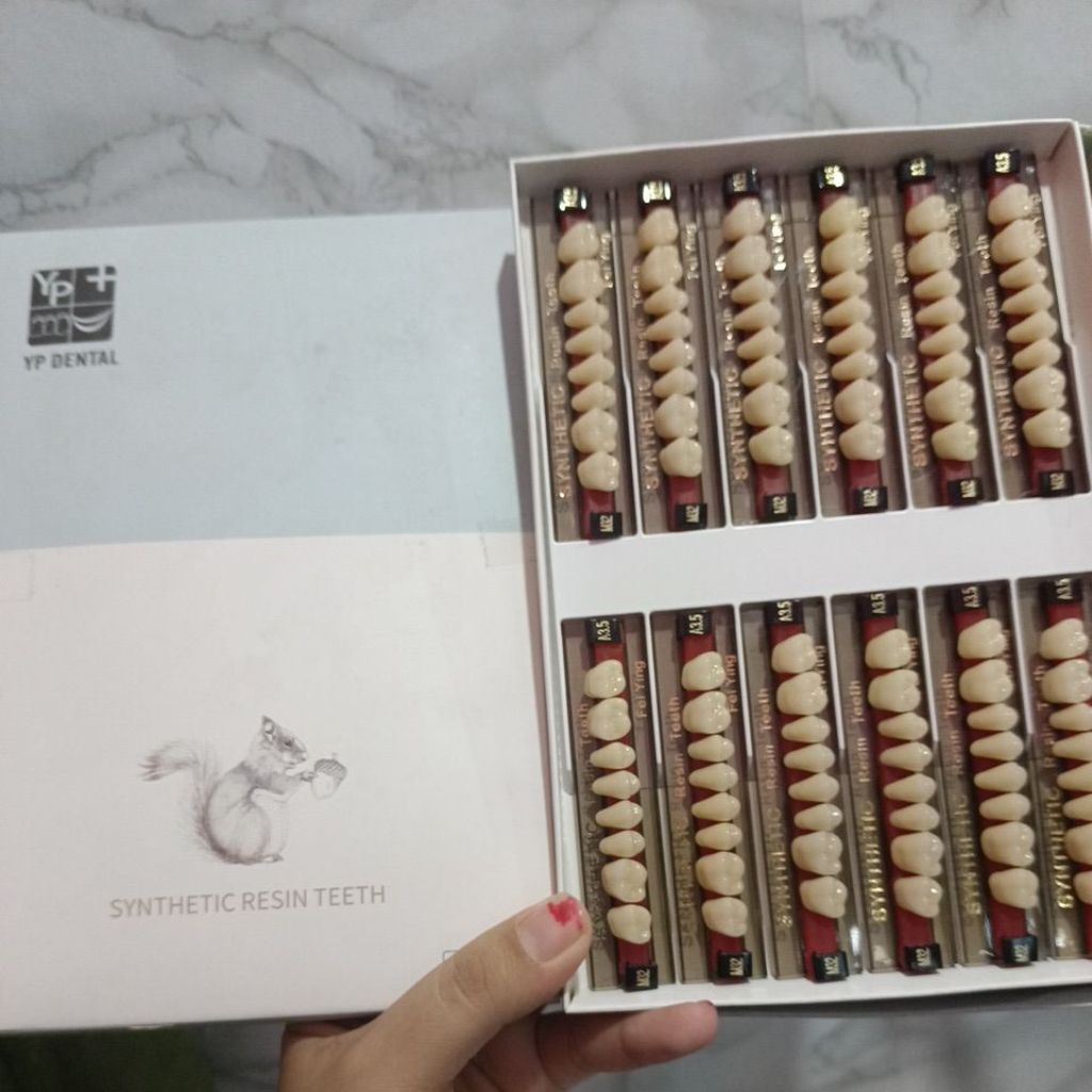 gigi palsu posterior  yp dental synthetic resin teeth