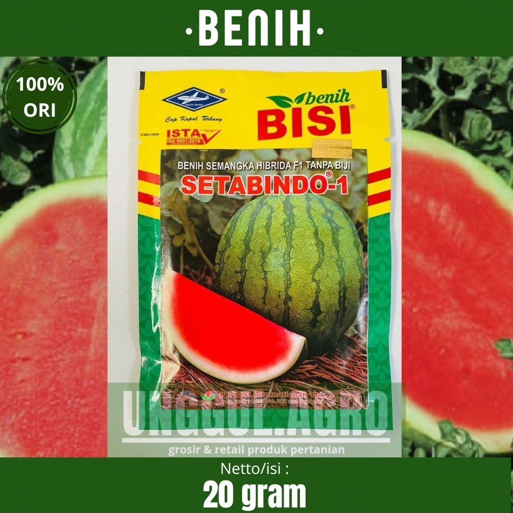Benih semangka merah tanpa biji SETABINDO-1 20gram dari bisi cap.kapal terbang