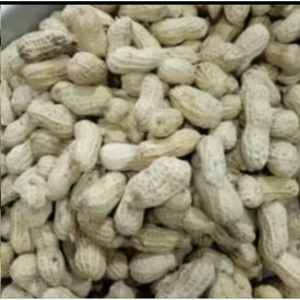 

KACANG GORENG PASIR 500gram