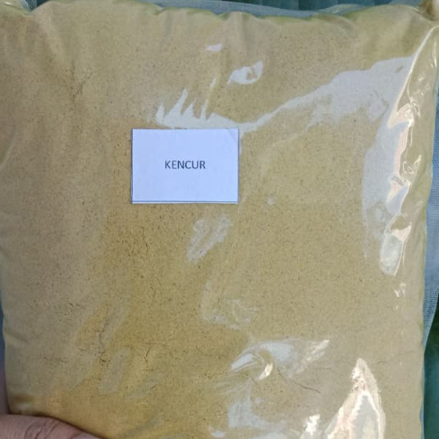 

Bumbu Masak Kencur / Rempah Kencur / Kencur Powder 1kg