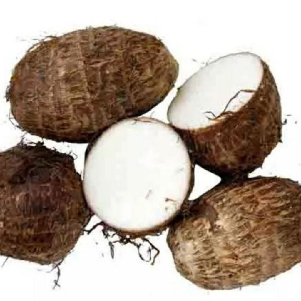 

talas Belitung kimpul bogor berkualitas 1kg