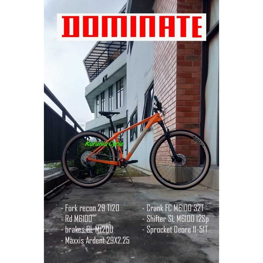 Sepeda DOMINATE CXC COMP R CARBON 12 SPEED SHIMANO HYDRAULIC MTB 29 Inch