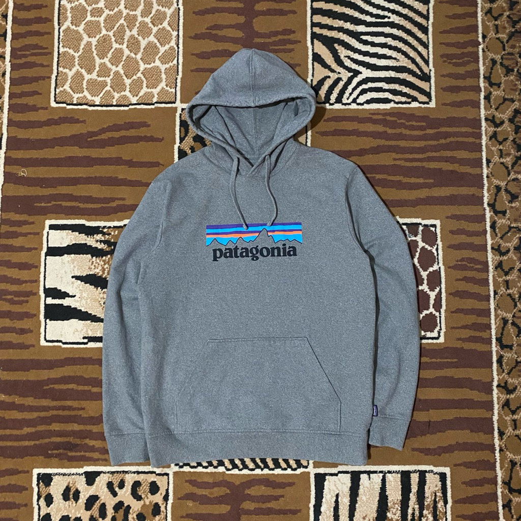 Patagonia Hoodie Grey