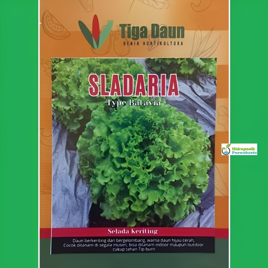 Benih Selada Batavia SLADARIA Selada Keriting Selada hijau Tipe Selada Caipira 1 gram Cap Tiga Daun