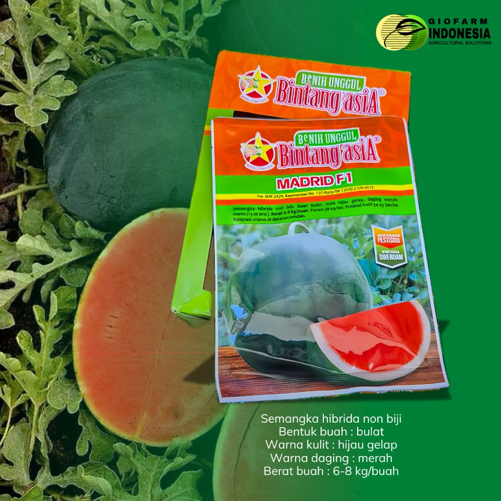 madrid f1 bibit semangka unggul