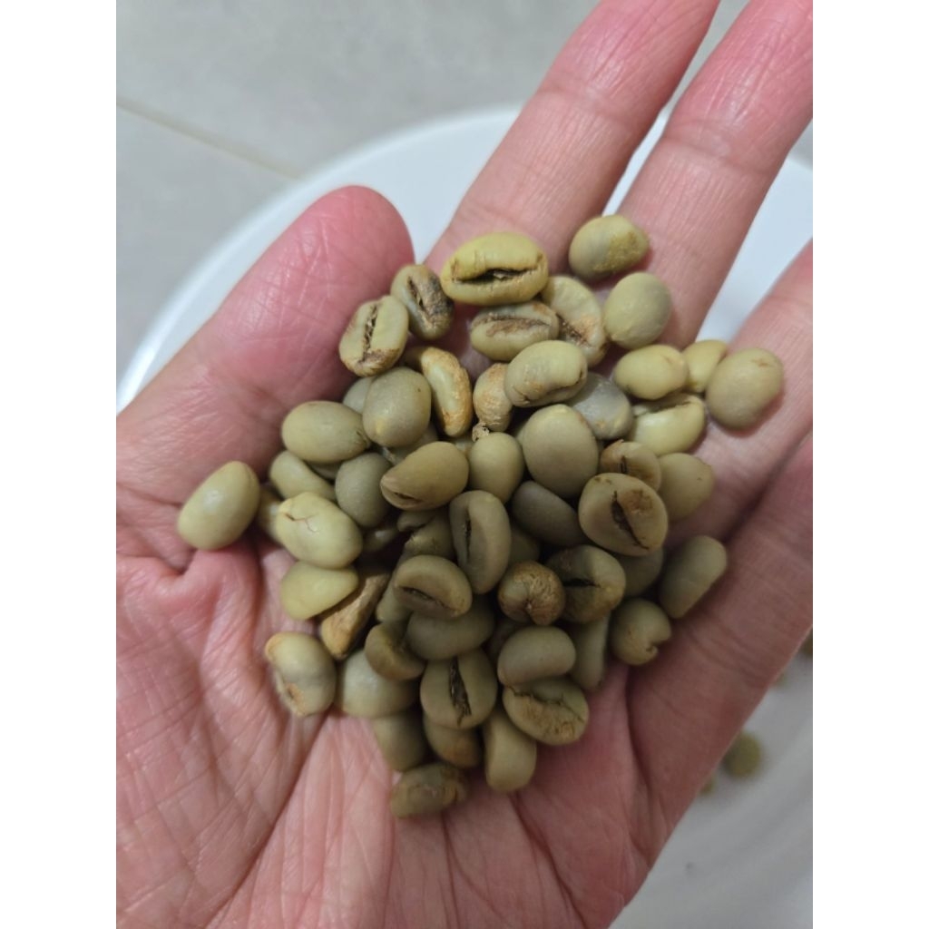 

kopi arabica dan robusta sortiran dan asalan