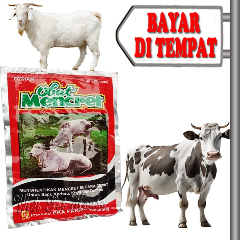 Obat Mencret Diare Kembung Sapi Kambing Hewan Ternak