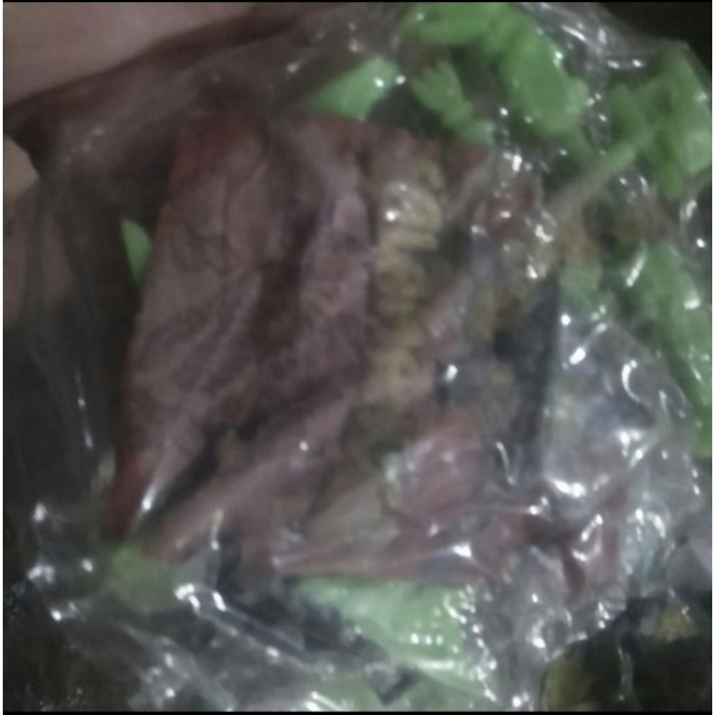 mokit jadul salamander