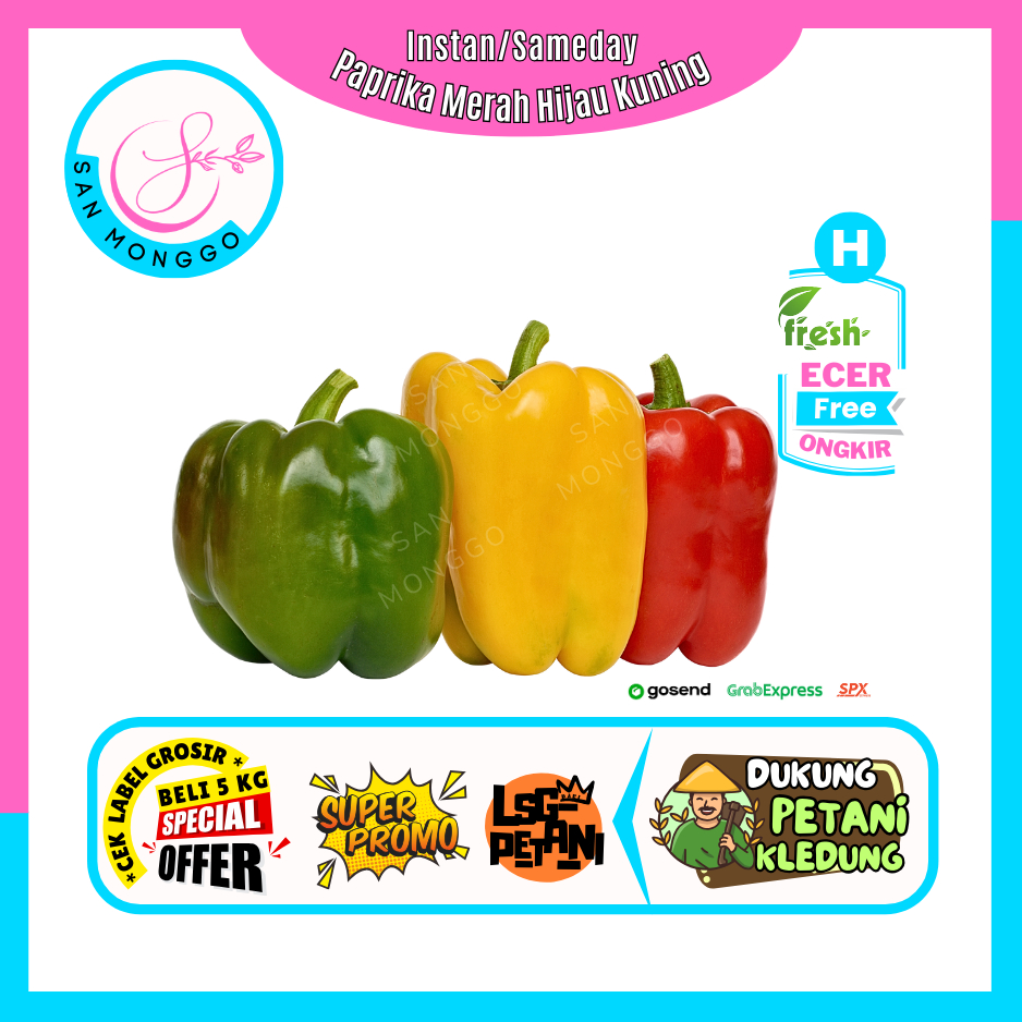

Sanmonggoo >> Paprika Merah Hijau Orange 150Gr -- Hasil Bumi Sindoro Sumbing Ecer (H)