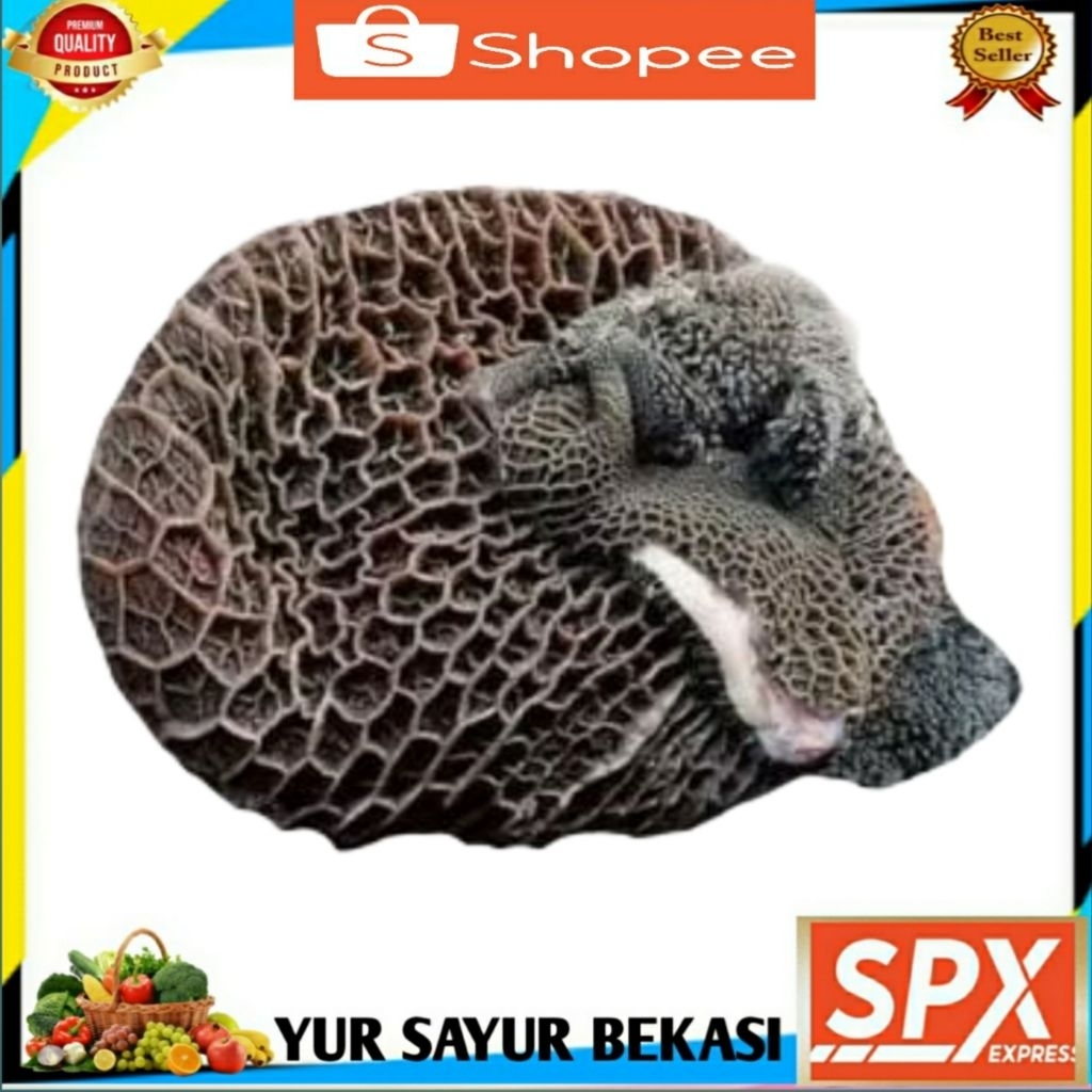 

Babat Sapi Hitam 500gr.