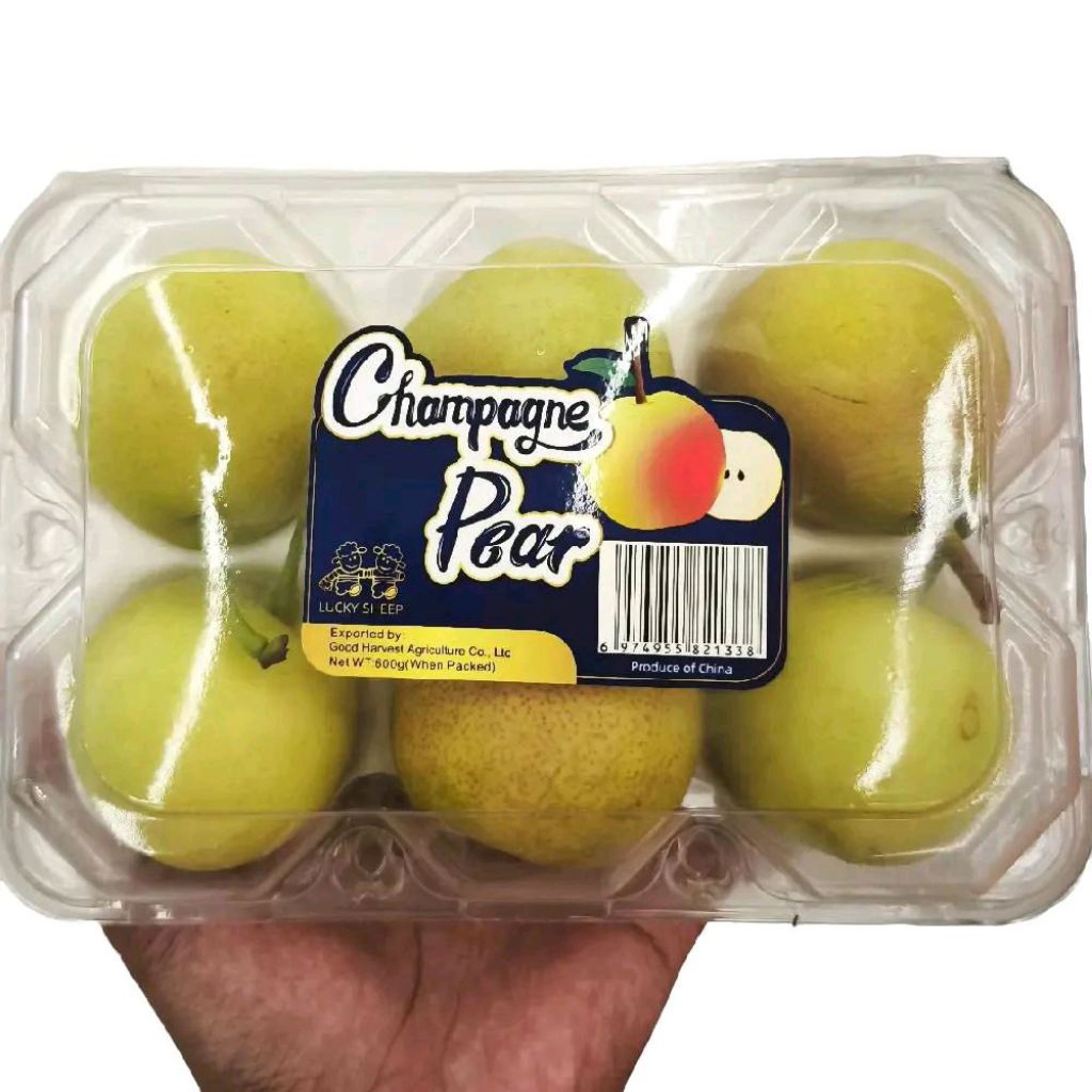 

Buah pear champagne pear segar premium import RRC -+ 700 gram
