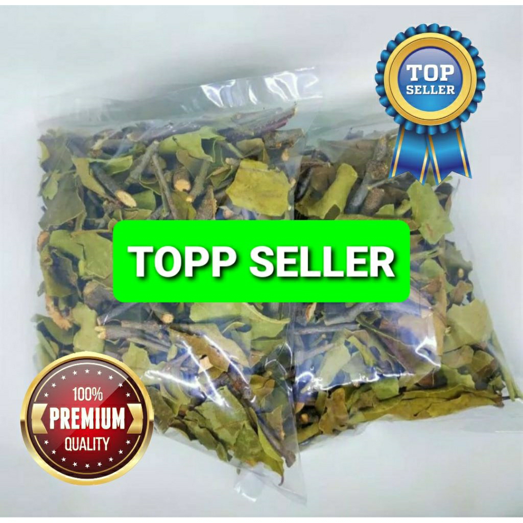 

Benalu Cemara Gunung 1000 Gram ranting dan daun Kwalitas Terbaik