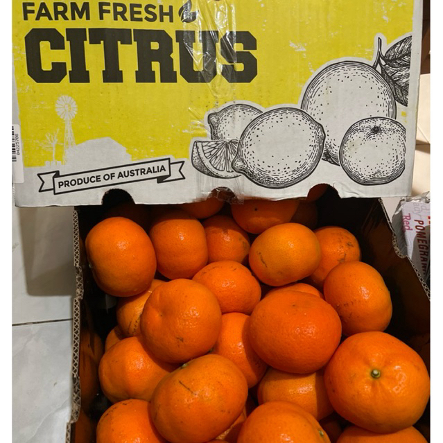 

Jeruk Honey Murcot Australia