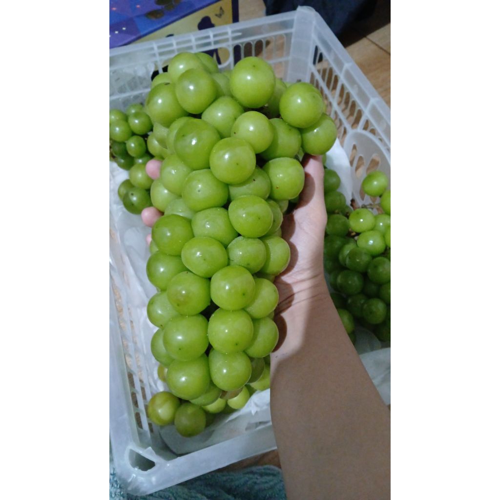 Anggur hijau muscat curah 1kg