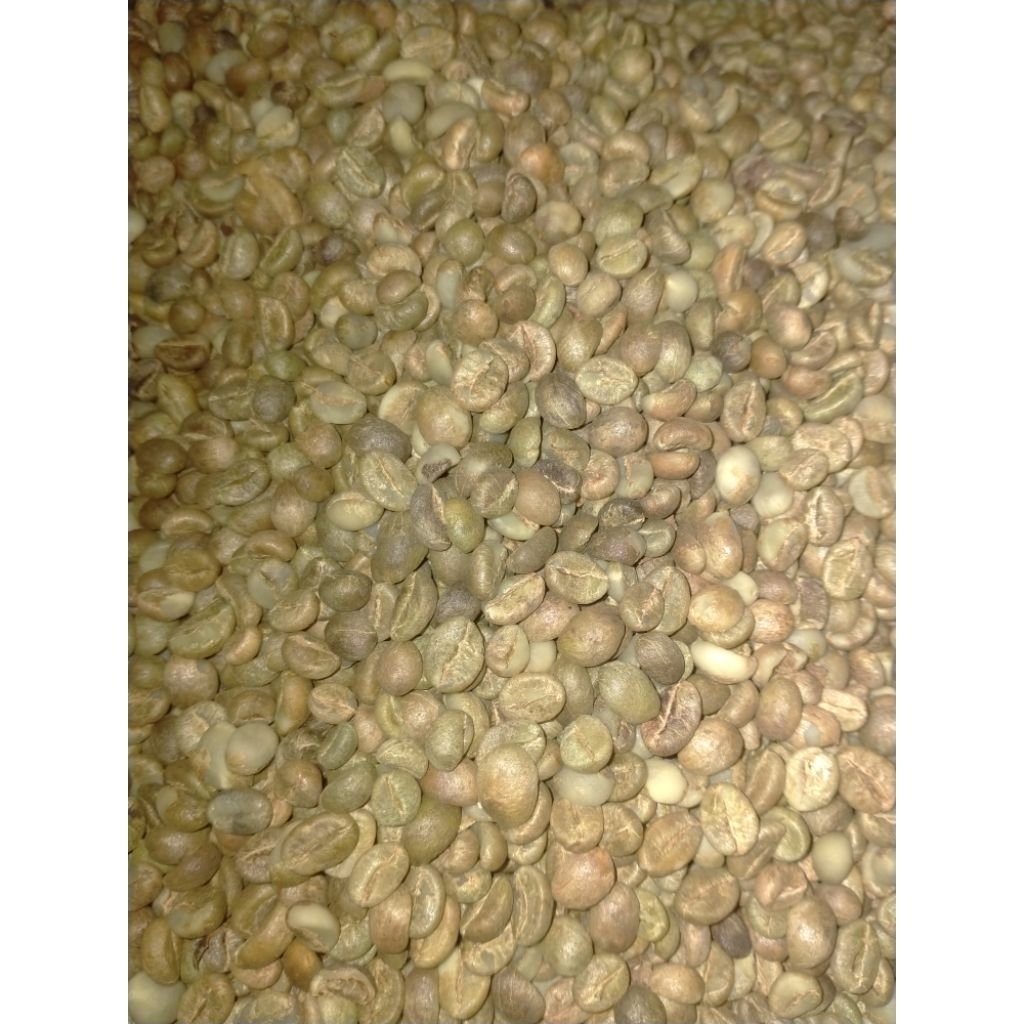 

Green Bean Petik Merah Robusta Gunungwungkal