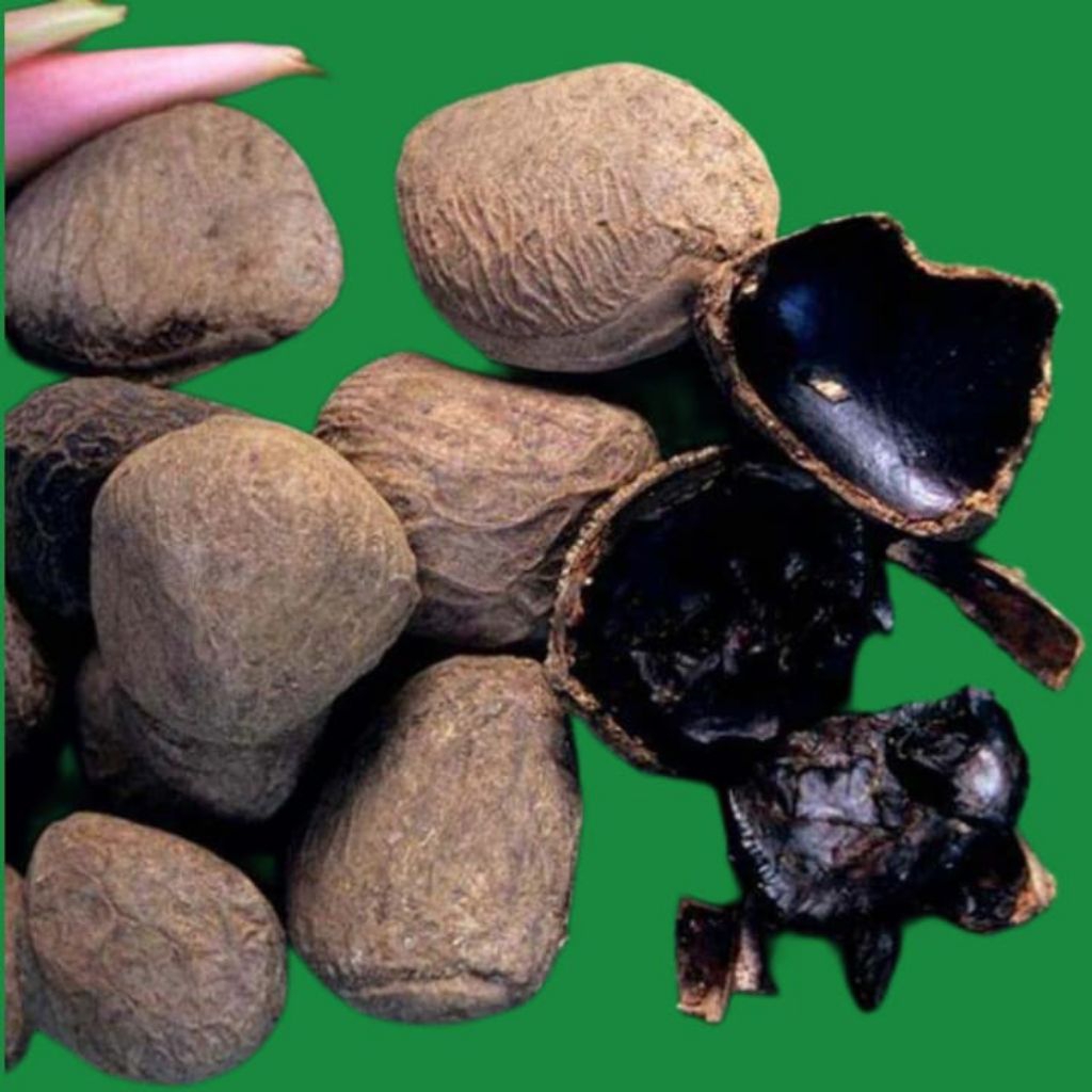 

Picung Kluwak Kepayang Sudah Hitam Bumbu Rawon Variasi 1KG Dan 1/2 Kg Termurah COD