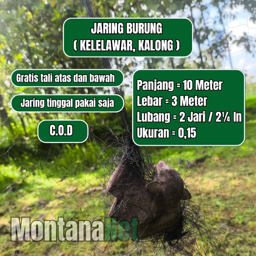 PIKAT JEBAKAN KELELAWAR JARING CODOT TINGGAL PASANG JARING