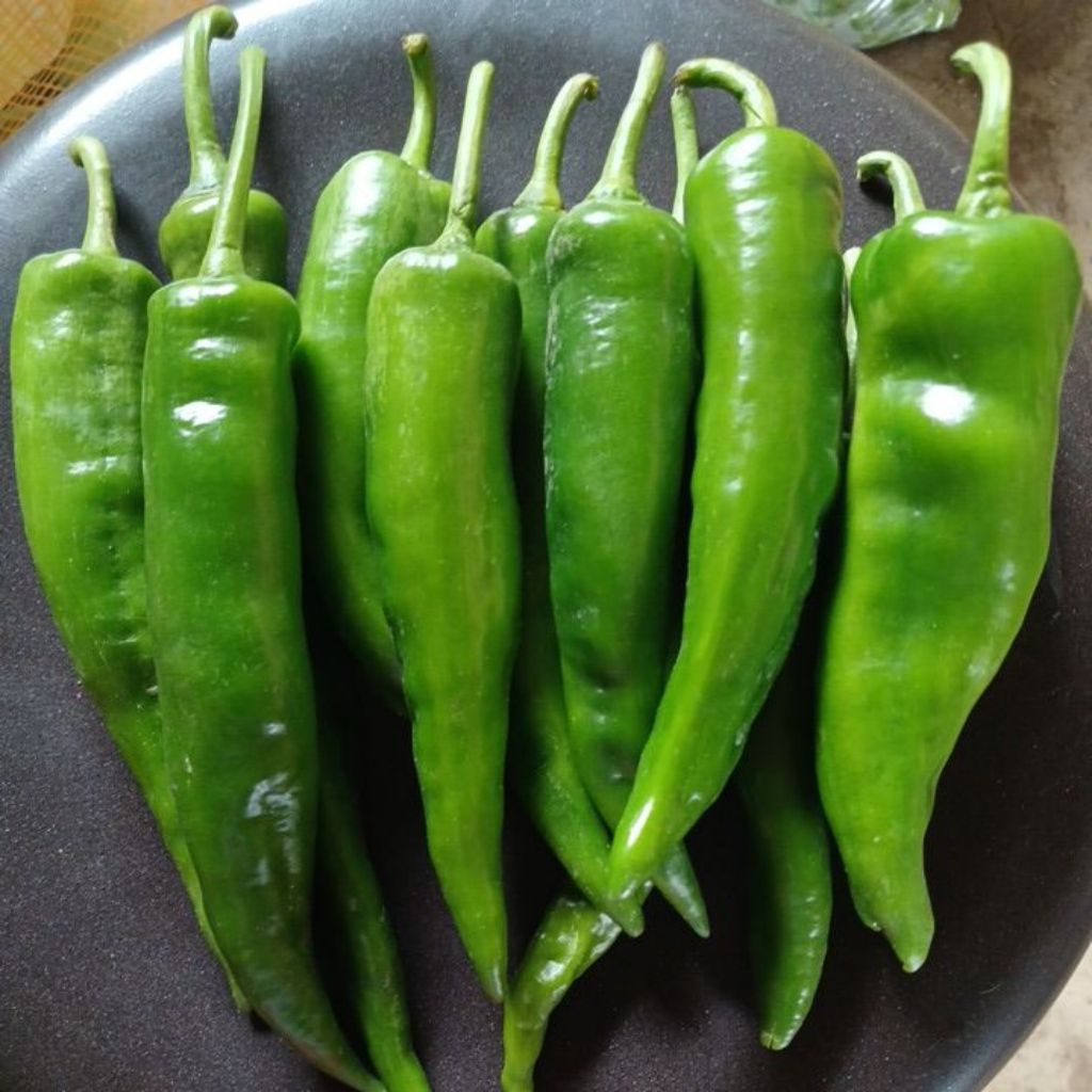 

cabai hijau super segar 250g-1kg