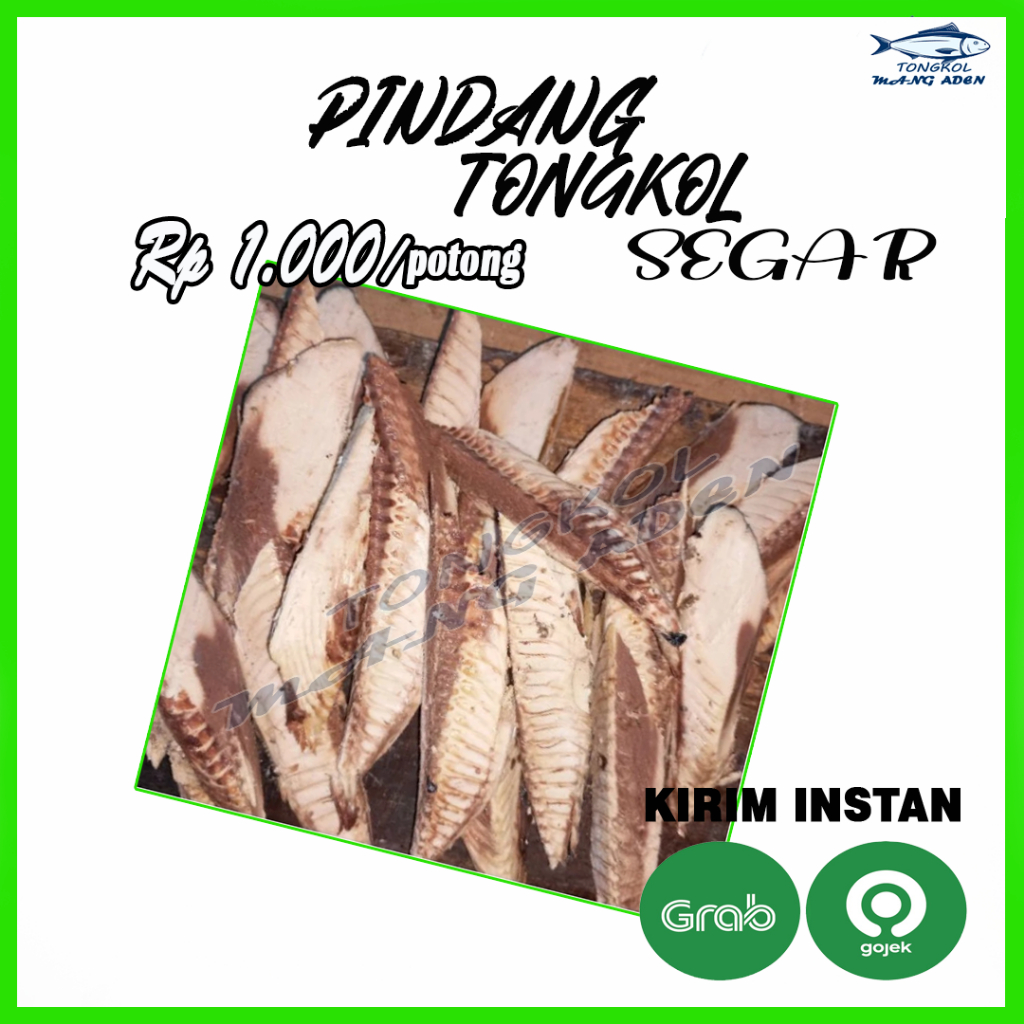 

Pindang Tongkol Segar Rp 1.000/potong | Ikan Cue Tongkol Potongan Murah
