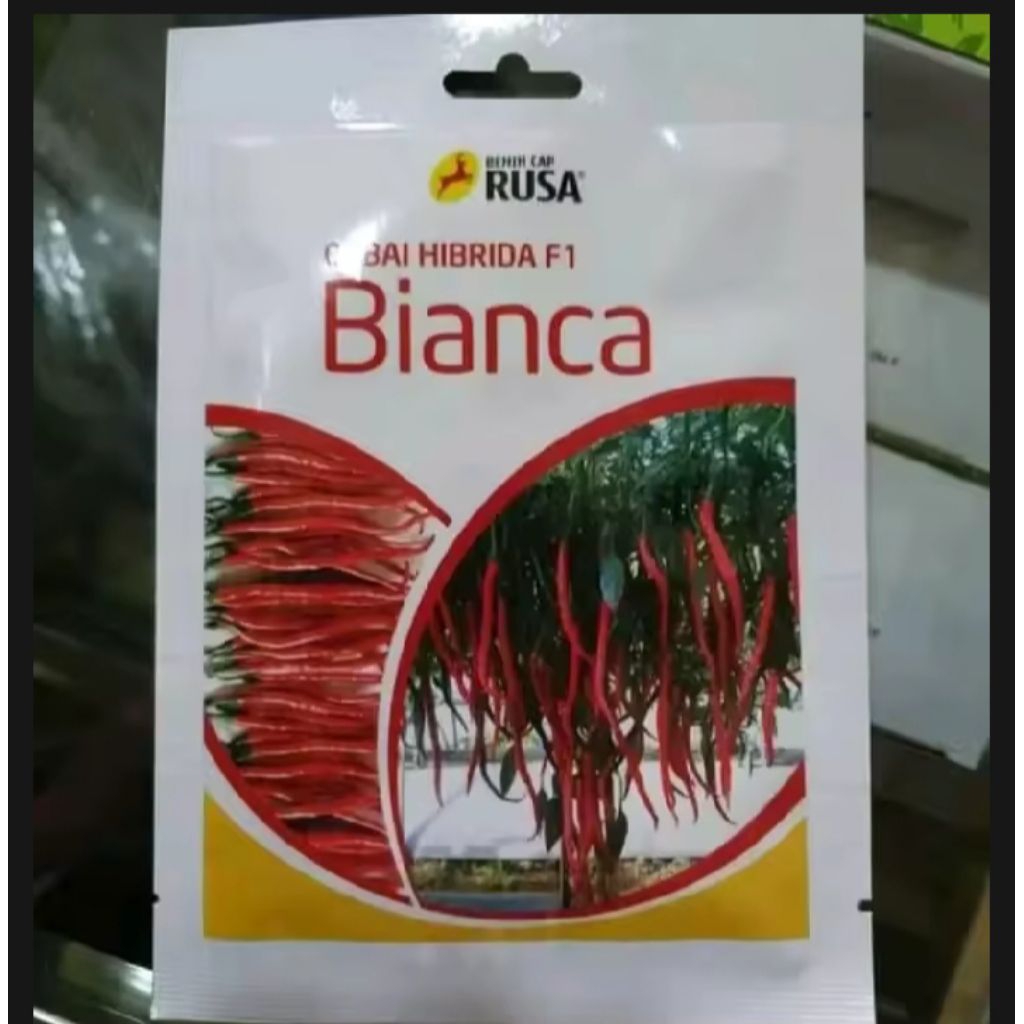 

BENIH CABE BIANCA CAP RUSA F1-/+2000 BUTIR