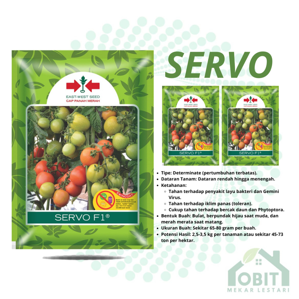 BENIH TOMAT HIBRIDA SERVO F1 SP ISI 150 BIJI / SERVO F1 TOMAT ORIGINAL PABRIK