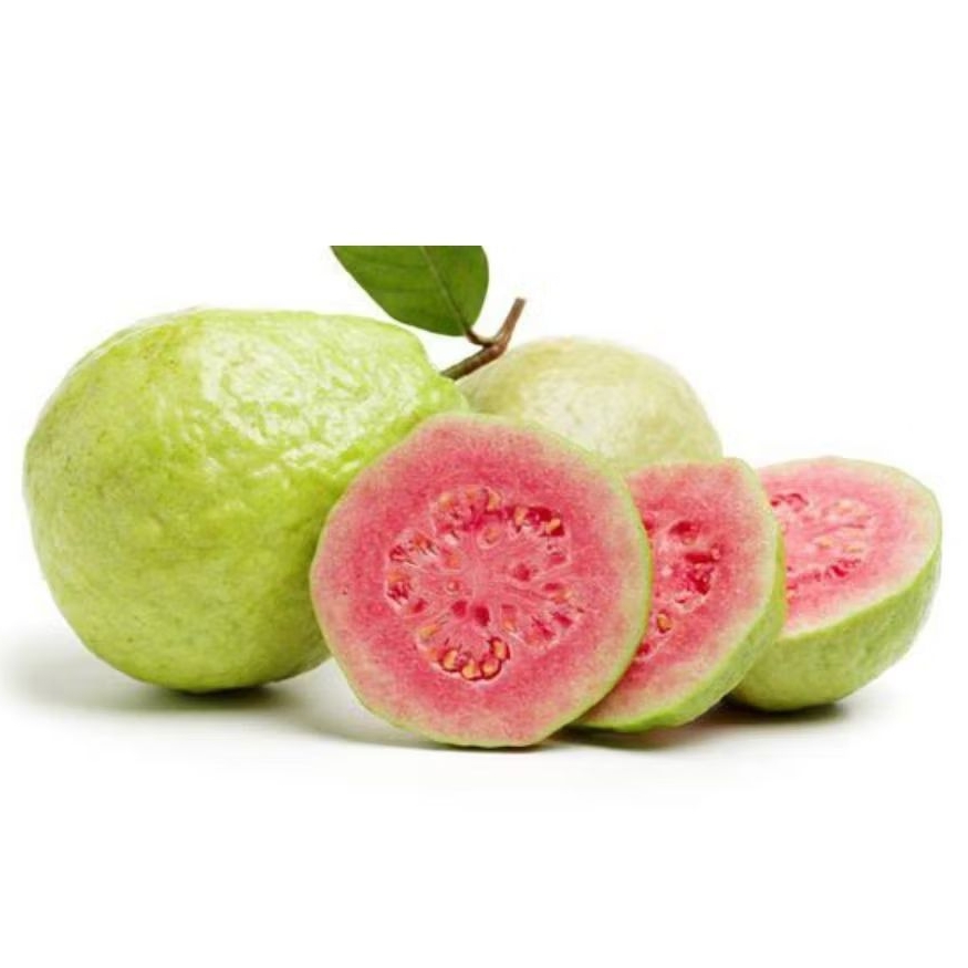 

Jambu Biji Merah / Red Guava Fresh 1kg (Buah Segar)