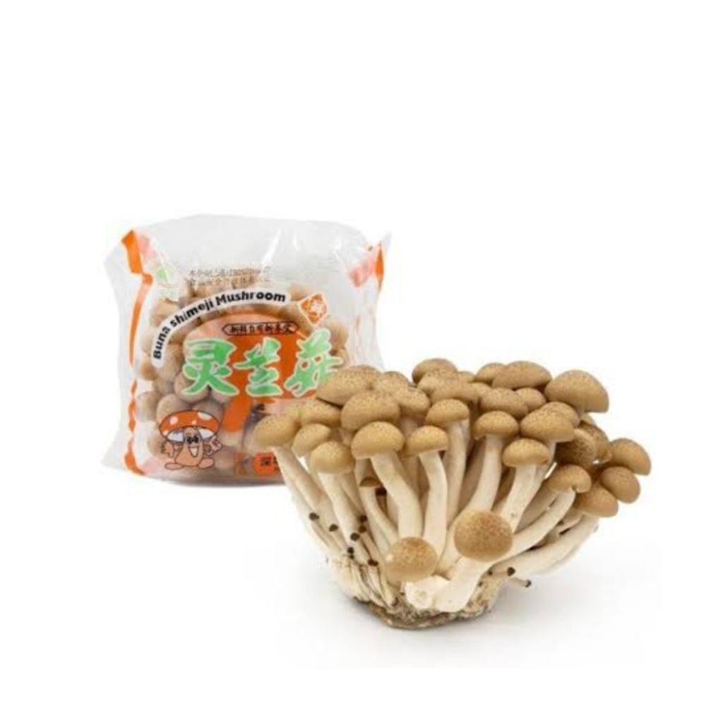 

jamur Shimeji coklat 1 pack