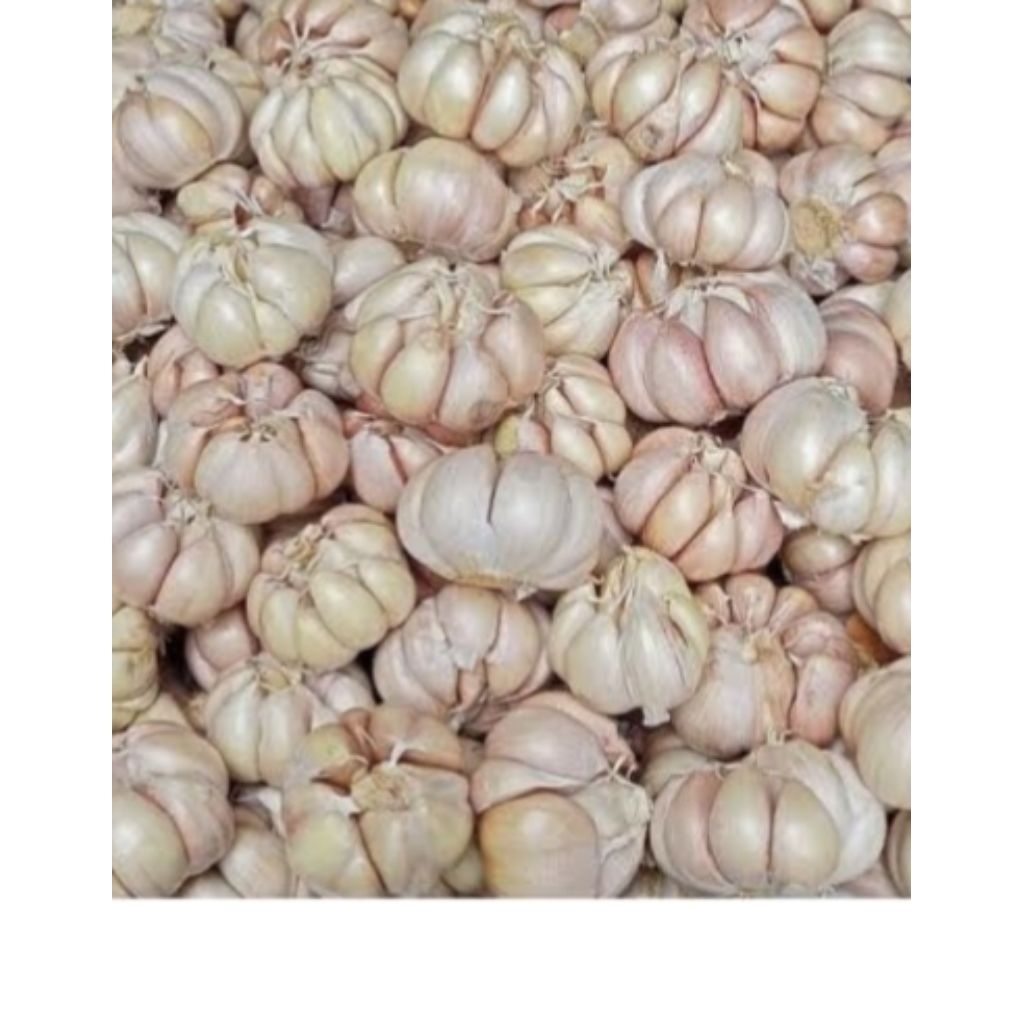 

Bawang putih bumbu masak
