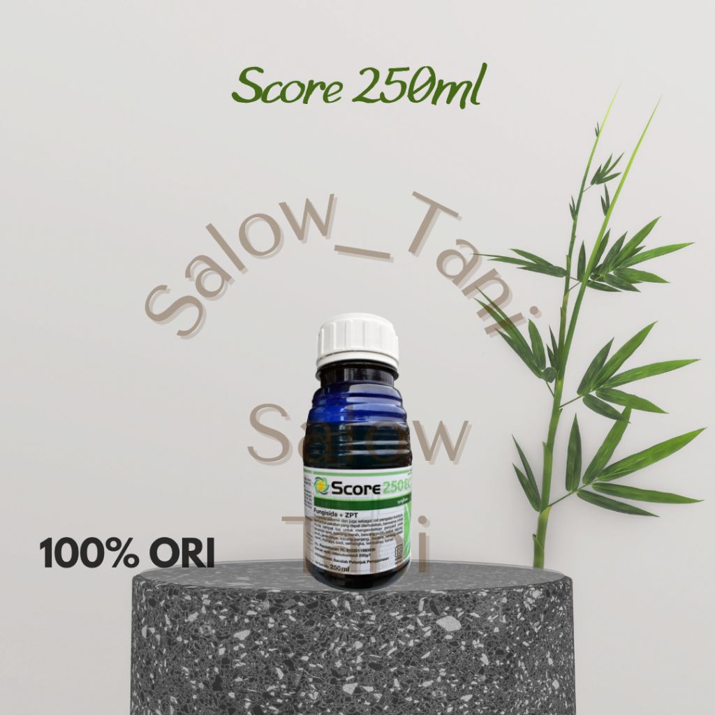 Score 250ml