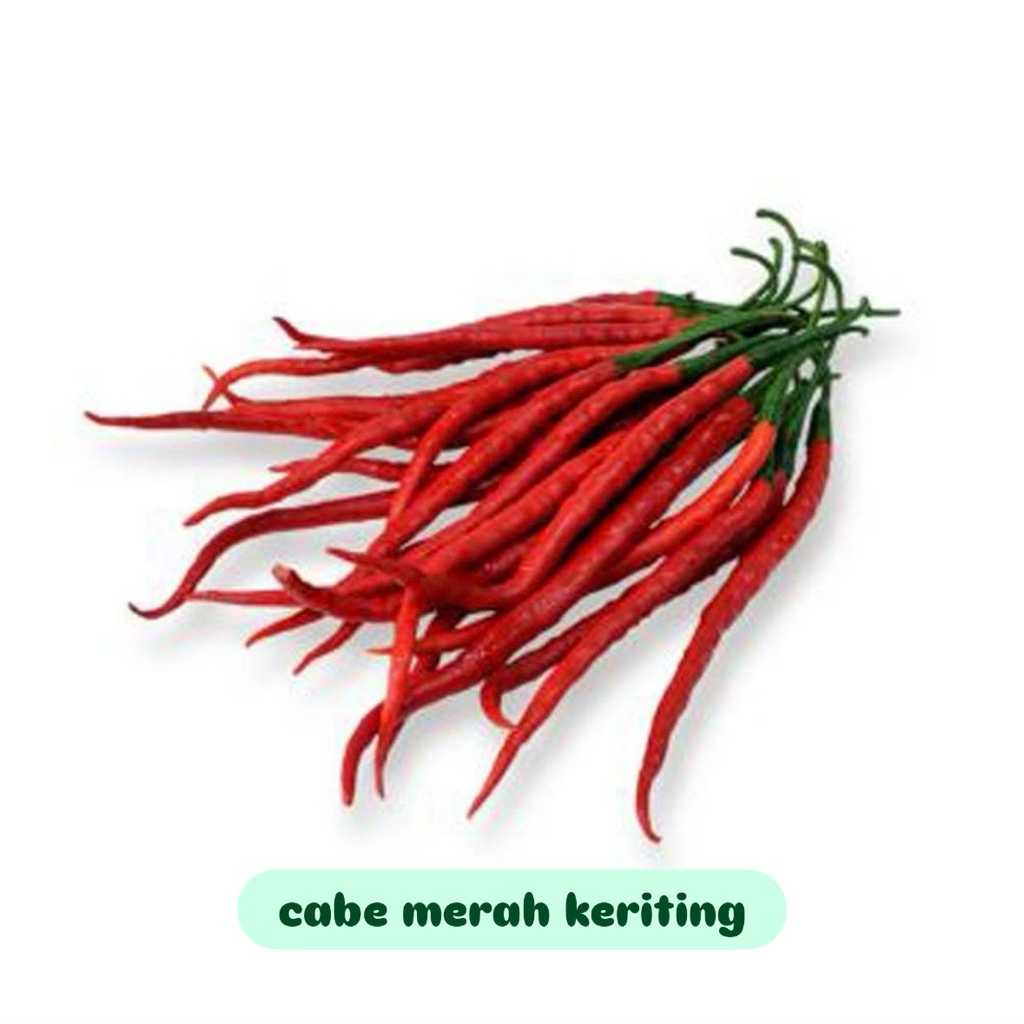 

Cabe keriting fresh 100gr/250gr/500gr/1kg