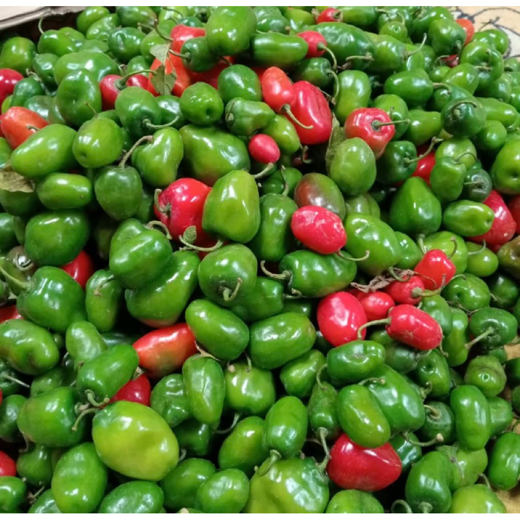 

CABE BENDOT SAYUR FREESS hasil bumi 500 grm