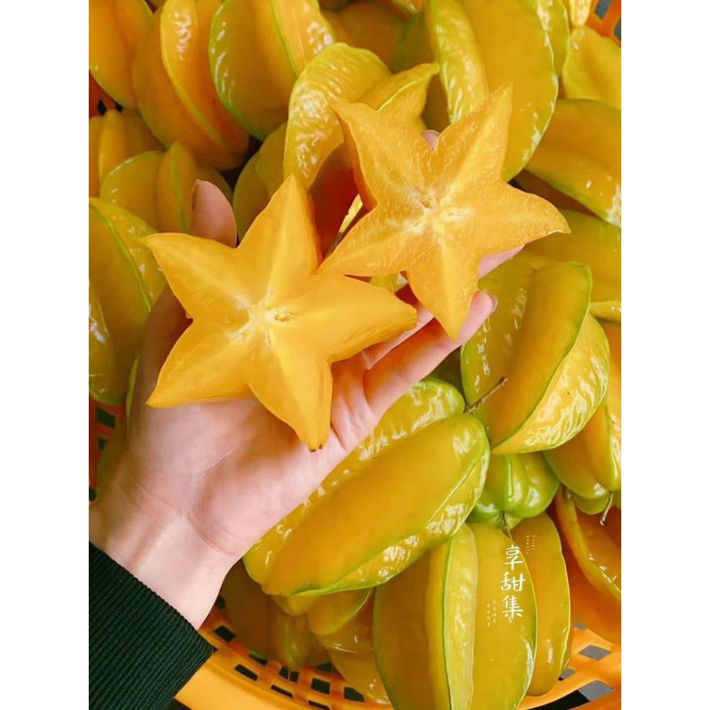 

Buah BELIMBING 1 Kg