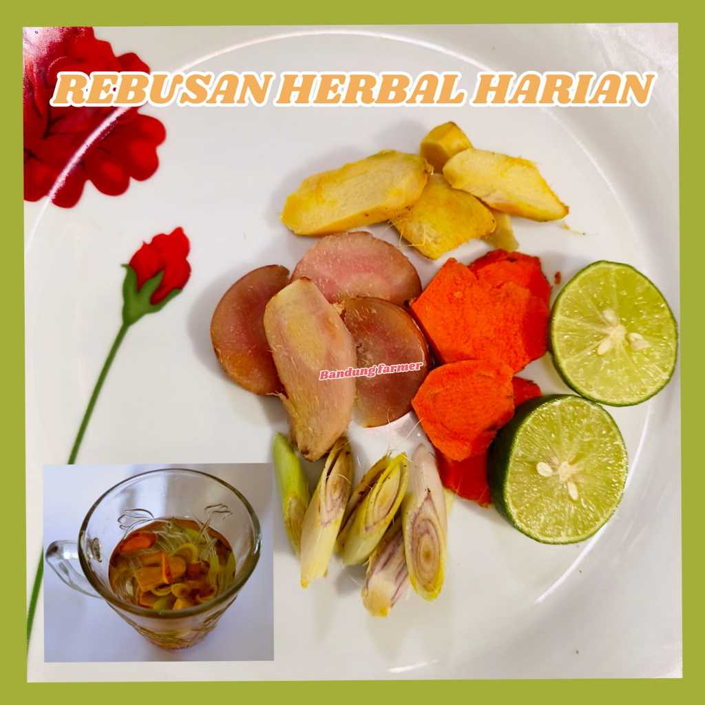 

TEH RIMPANG SEHAT DAN ENAK, JAHE, LENGKUAS, SEREH, KUNYIT, JERUK NIPIS