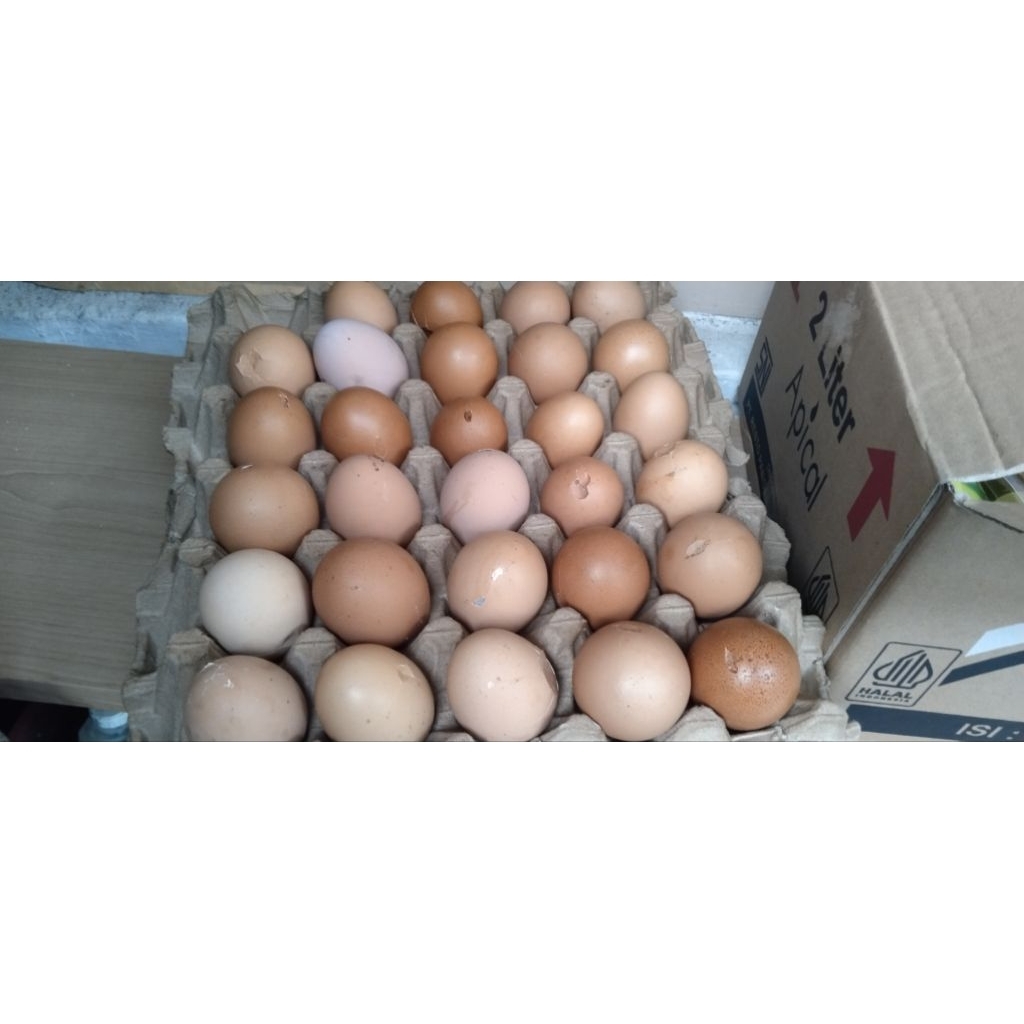 

TELUR RETAKAN 1 TRAY ISI 30 BUTIR (INSTAN & SAMEDAY)
