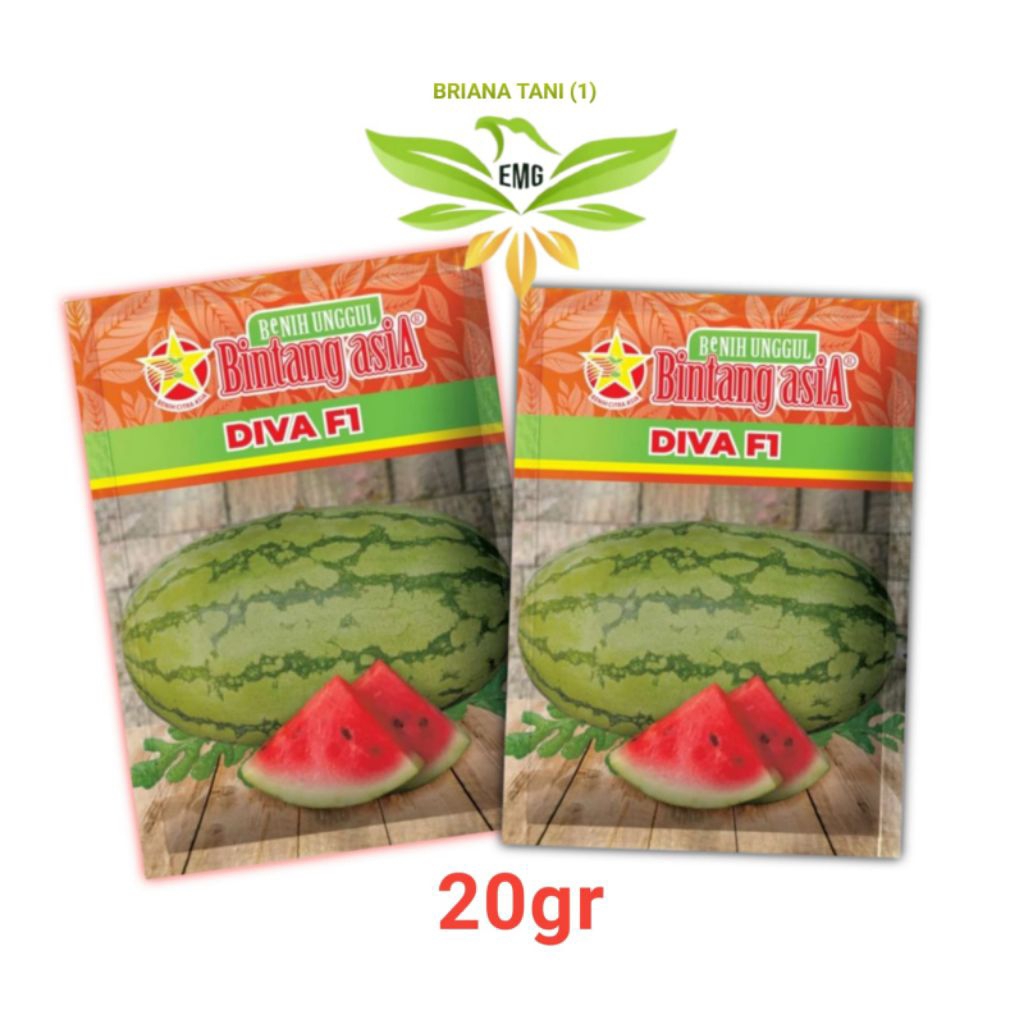 Benih Bibit DIVA F1 20gr Semangka Inul Lonjong diva benih semangka Bintang Asia