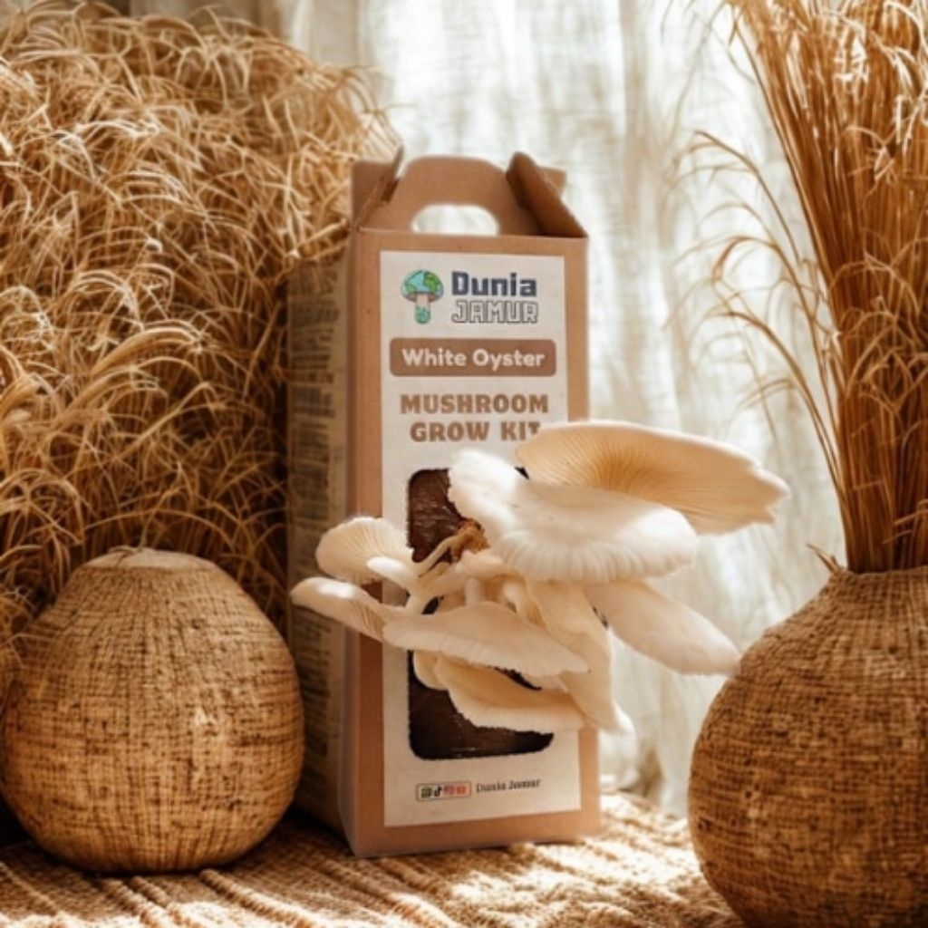 Dunia Jamur - Paket Budidaya Jamur Tiram Mainan Edukasi Belajar Gardening Anak Mushroom Grow Kit