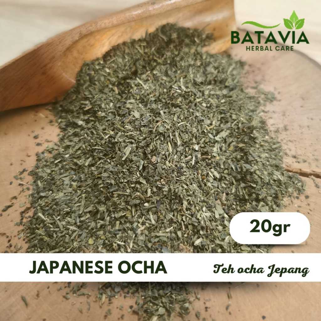 

Japanese Ocha Tea Teh Hijau Jepang Ocha Organik Japanese Green Tea